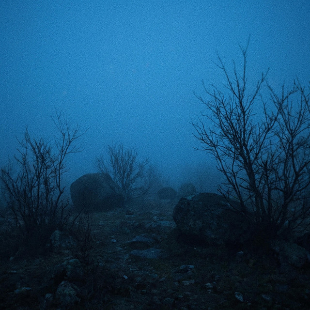 weight of absence