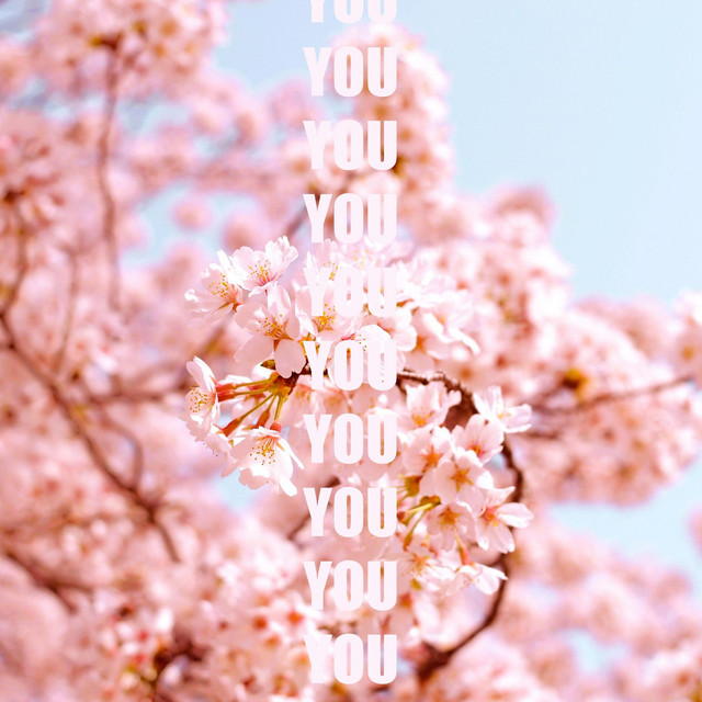 You cover