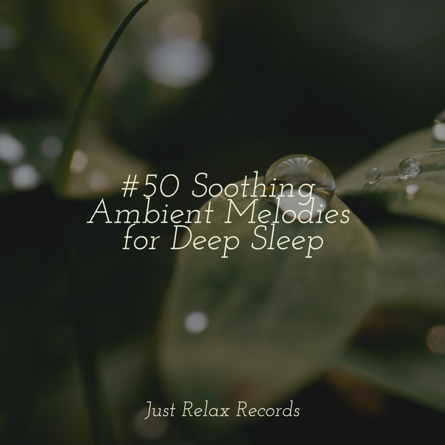 #50 Soothing Ambient Melodies for Deep Sleep - Album by Relaxing Spa ...