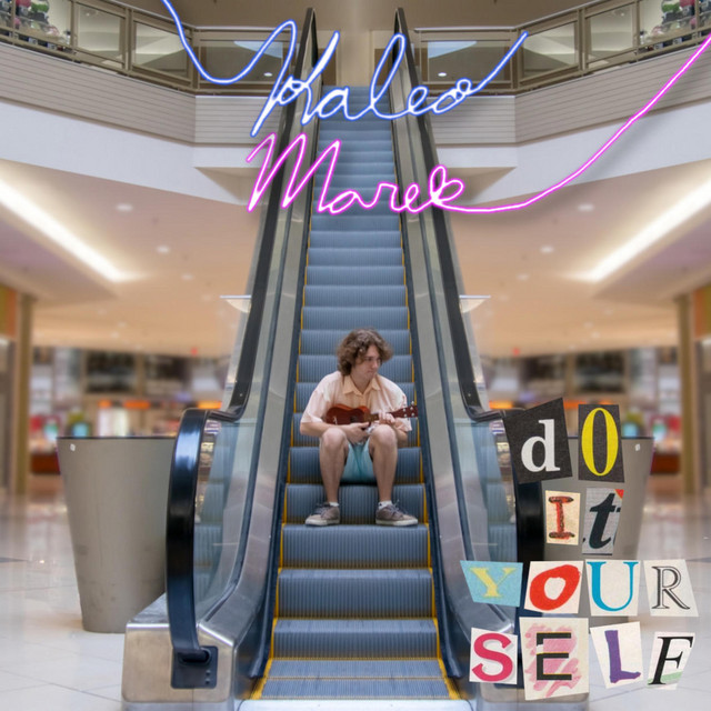 Do It Yourself cover art