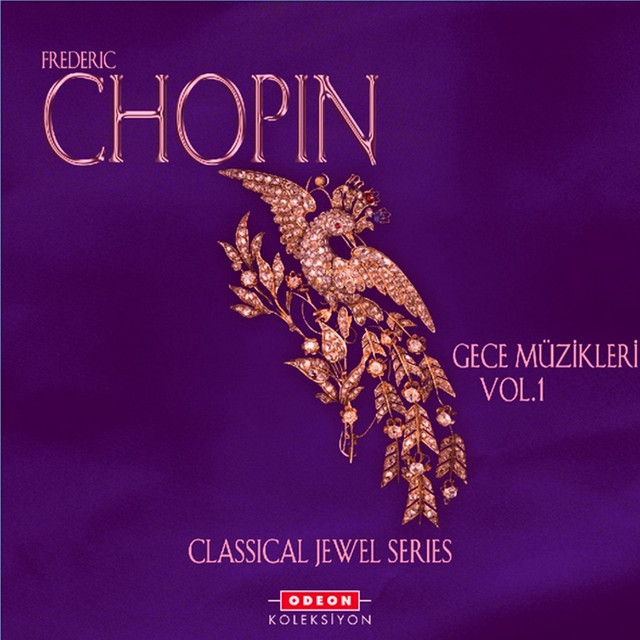 Chopin: Gece Müzikleri 1 cover art