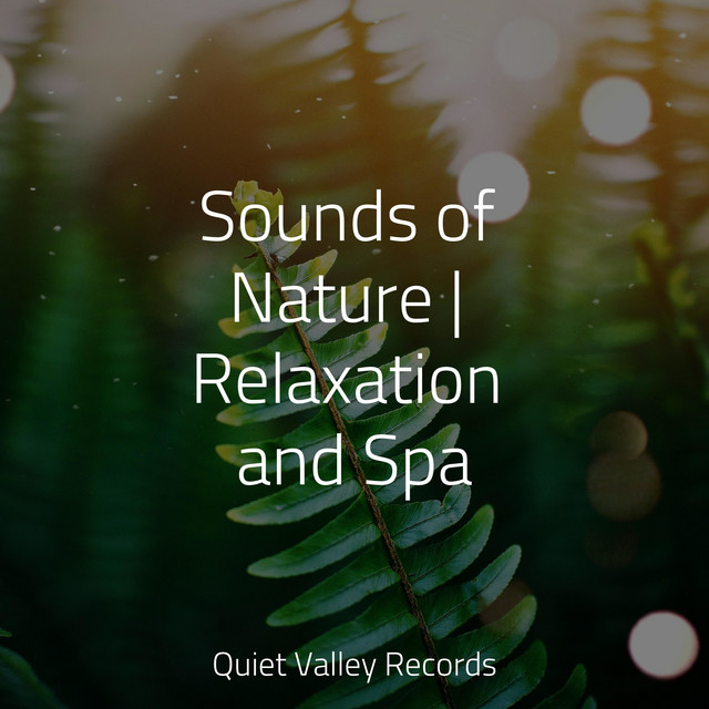 Sounds of Nature | Relaxation and Spa - Album by Sleep Sound of Nature ...