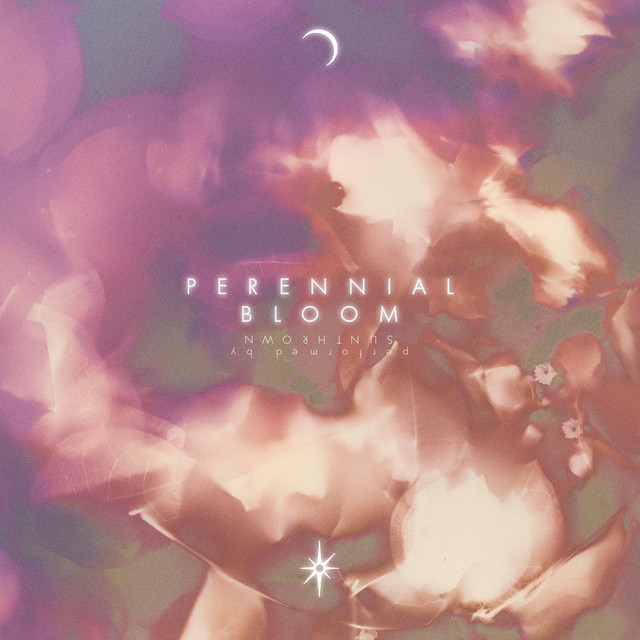 Perennial Bloom