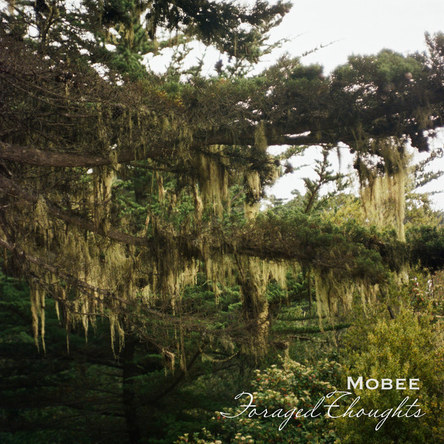 foraged thoughts cover art