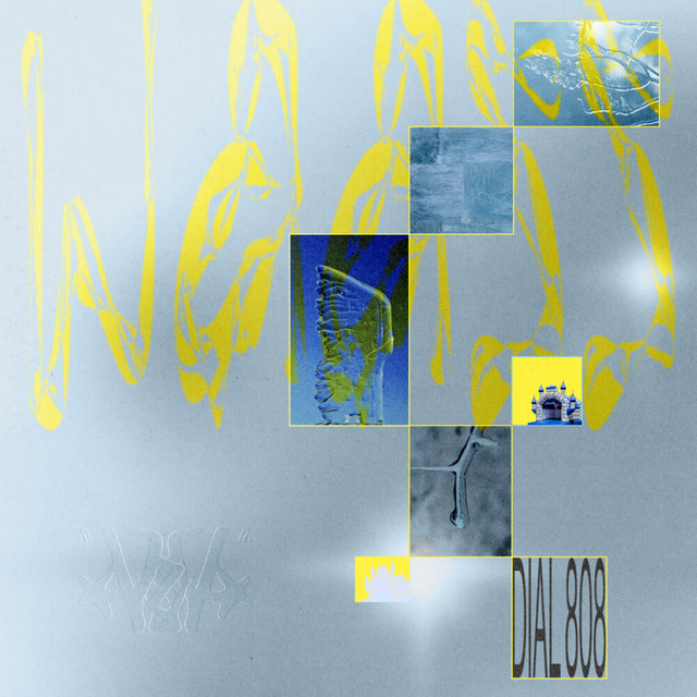 Pochette de Dial 808