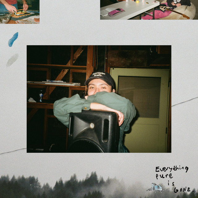 Everything Pure Is Gone cover art