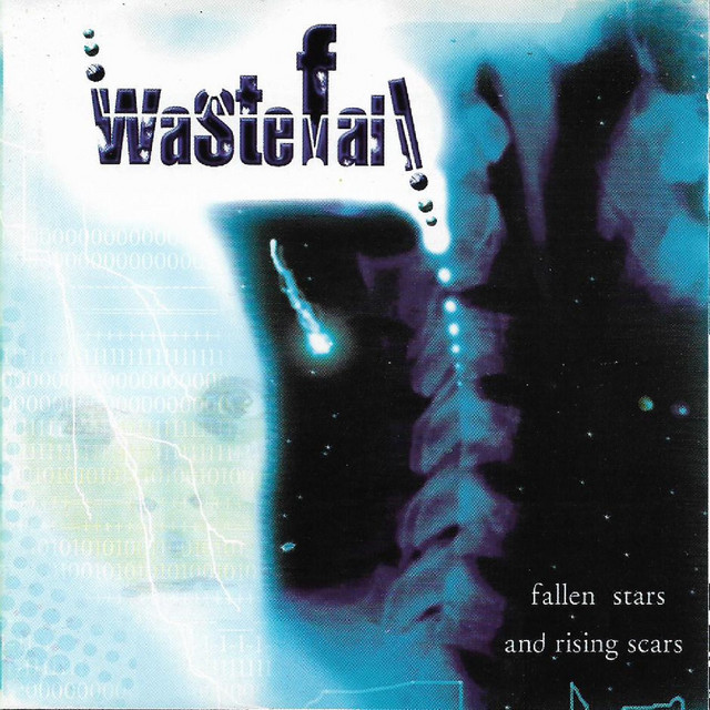 Fallen Stars And Rising Scars cover