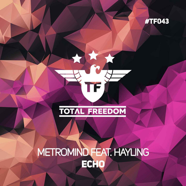 Echo - Single by Metromind | Spotify