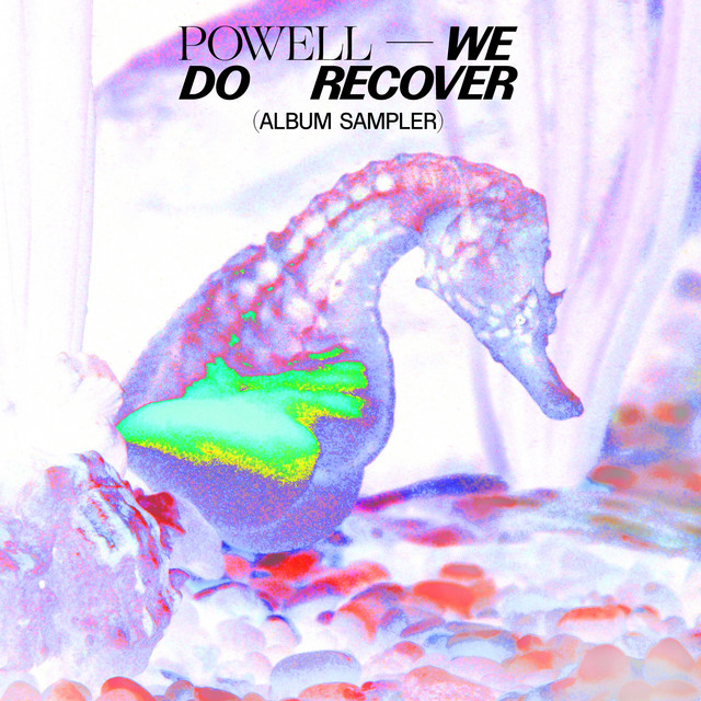We Do Recover (Sampler) cover art