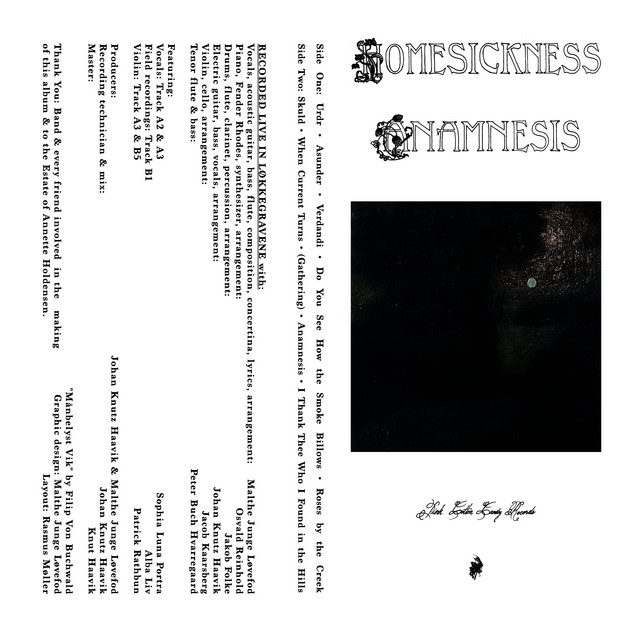 Anamnesis cover art
