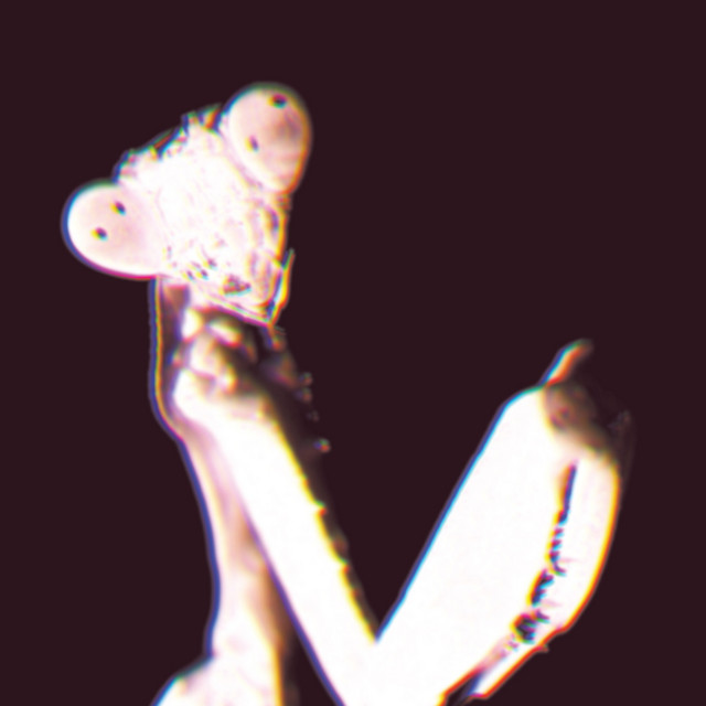 Disteria cover
