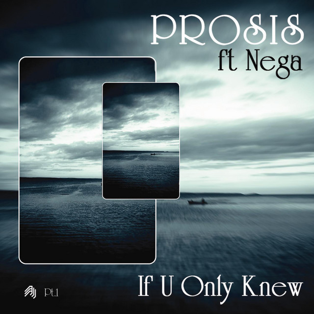 If U Only Knew Remixes (Part 1) cover art
