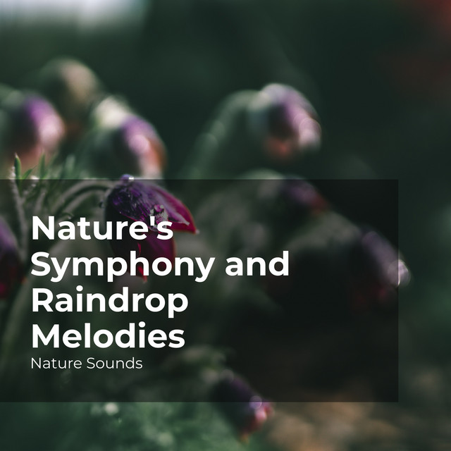 Nature's Symphony and Raindrop Melodies - Album by Nature Sounds | Spotify