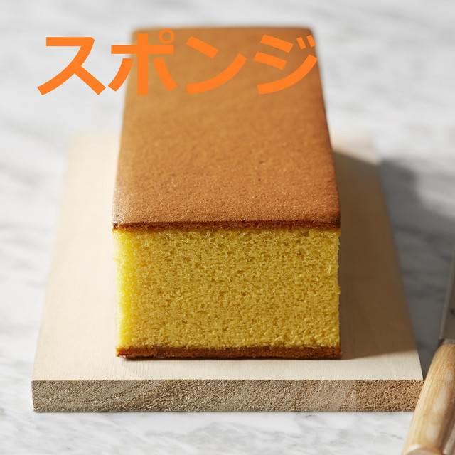sponge cover art