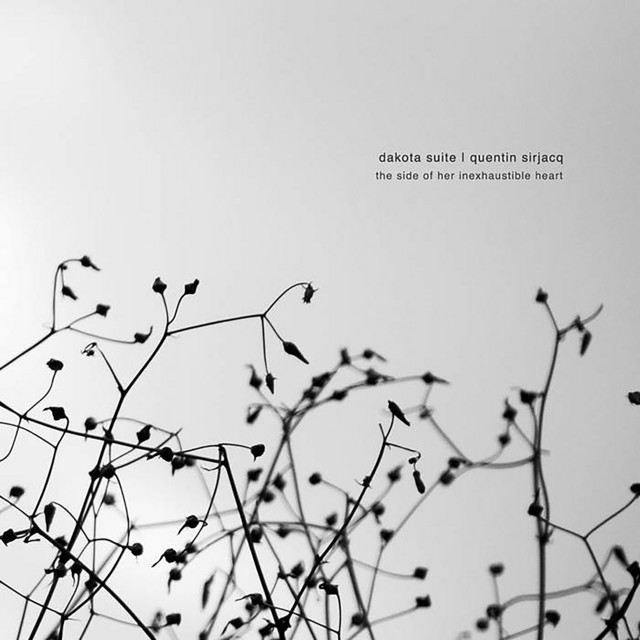 The Side of Her Inexhaustible Heart cover art