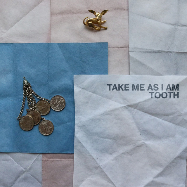 Take Me As I Am album image