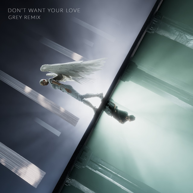 Don't Want Your Love (Grey Remix) artwork