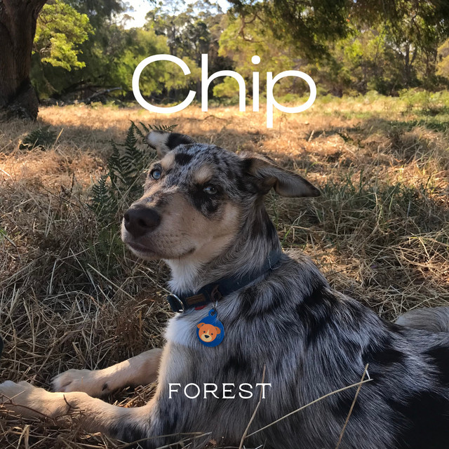 Chip cover art