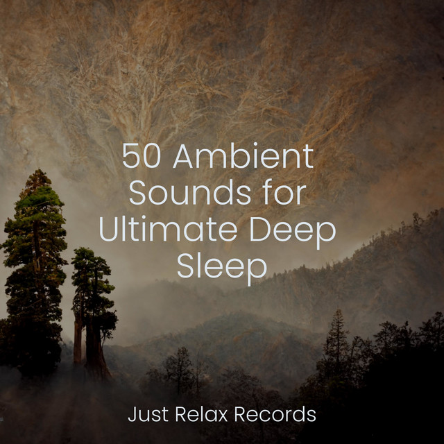 50 Ambient Sounds for Ultimate Deep Sleep - Album by Instrumental | Spotify