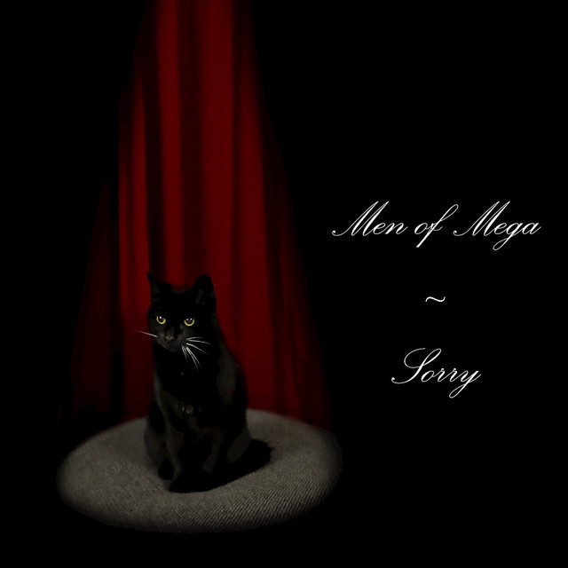 Sorry cover art