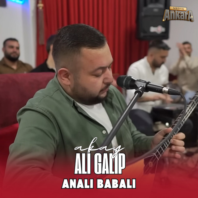 Analı Babalı cover art