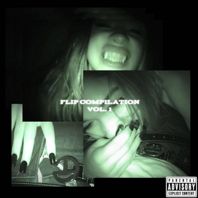 flip compilation | vol. 1 cover art