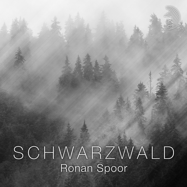 Schwarzwald - Single by Ronan Spoor | Spotify