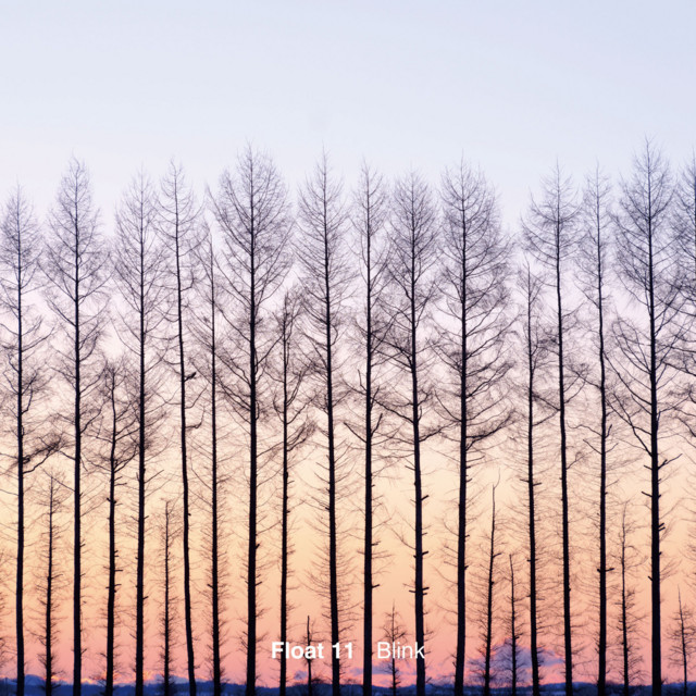 Blink cover art