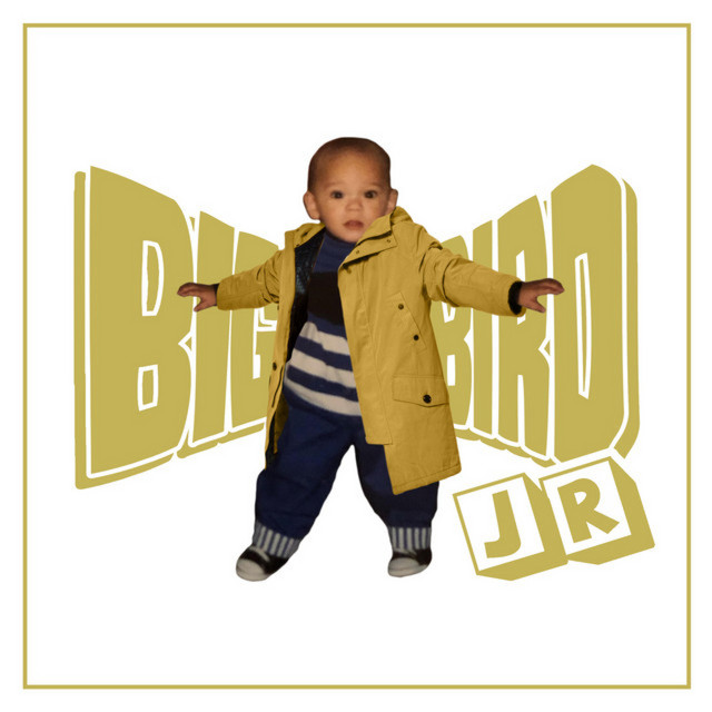 Big Bird Jr cover art