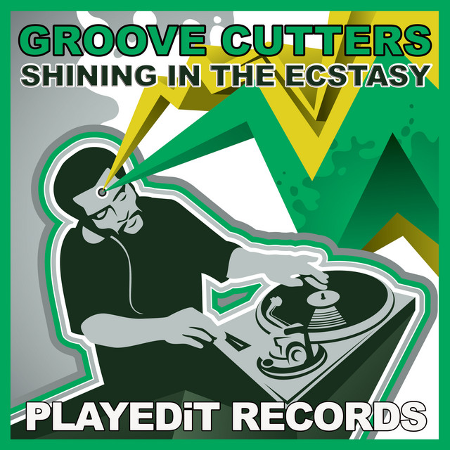 Shining in the Ecstasy cover
