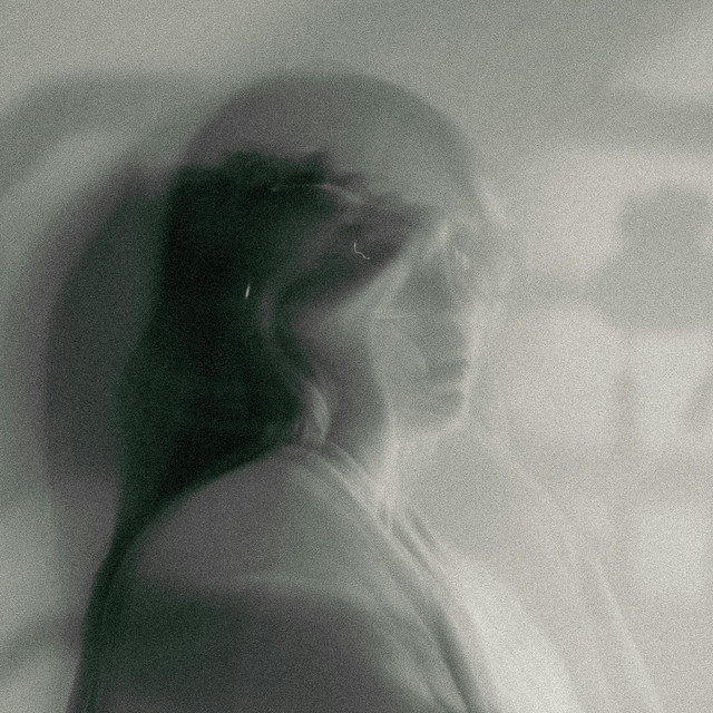 haven cover art