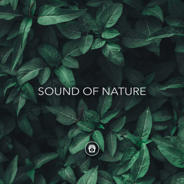 Sound Of Nature cover art