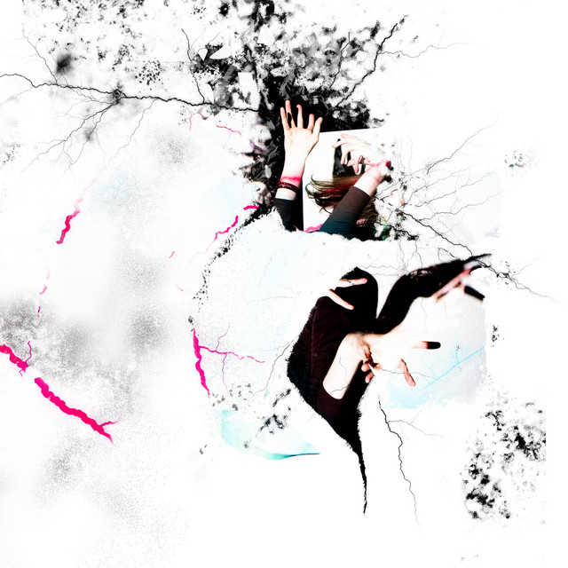 Plethora cover art