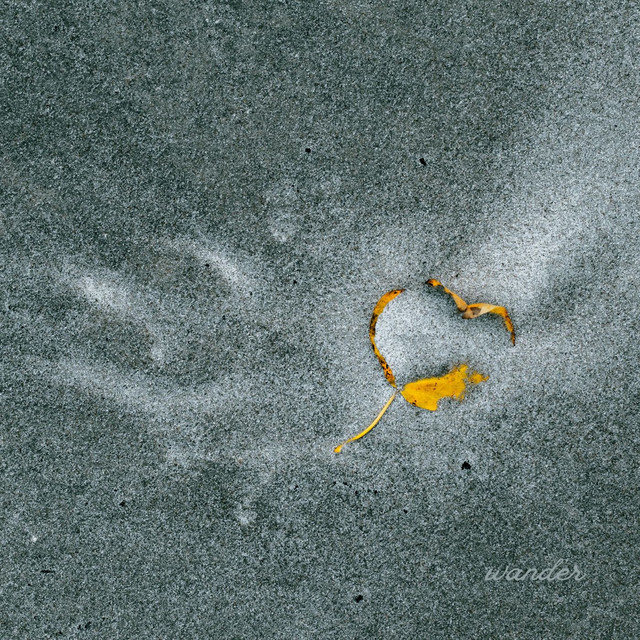 wander