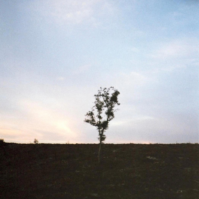 dein Garten, Pt. 1 cover