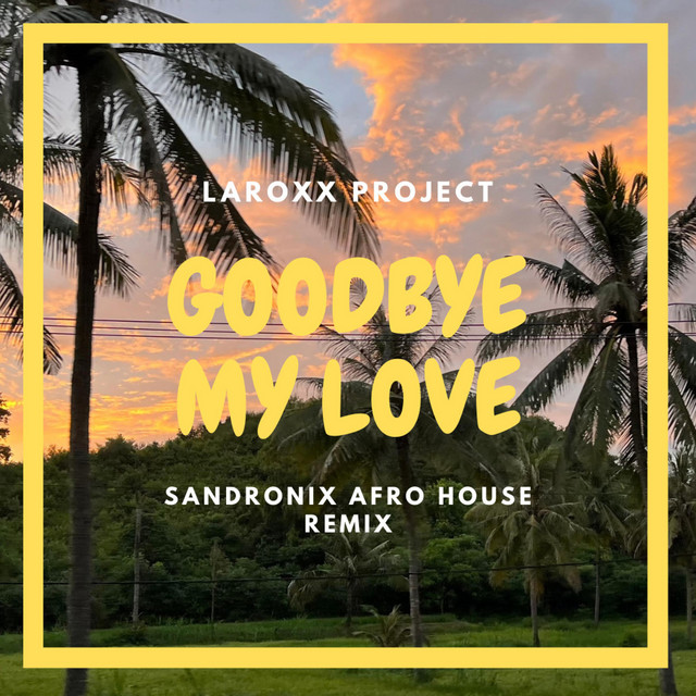 Goodbye My Love - SandroniX Afro House Remix