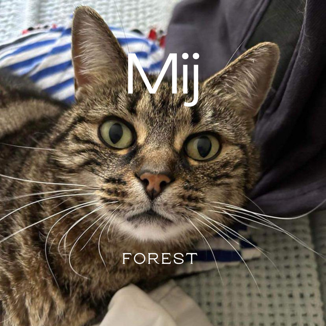 Mij cover art