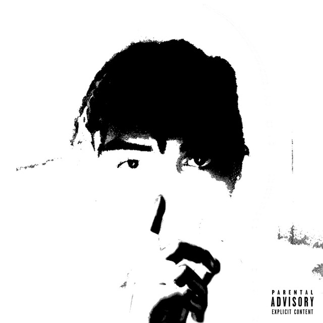 NOT SANCTIONED cover art