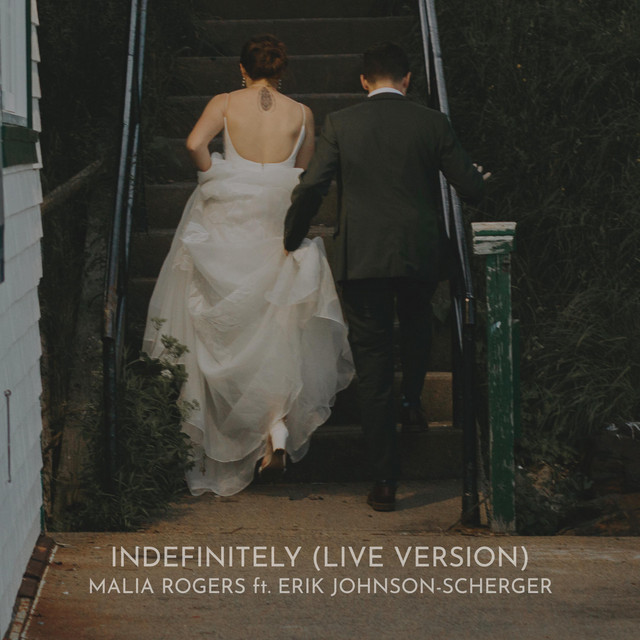 Indefinitely (Live) artwork