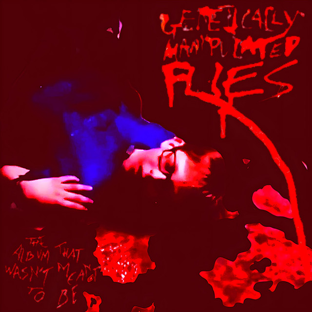 The Album That Wasn't Meant to Be cover art