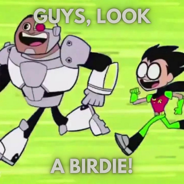 Guys, Look A Birdie!