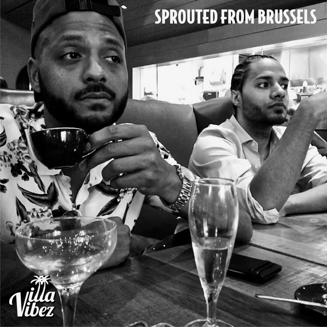 Sprouted from Brussels cover art