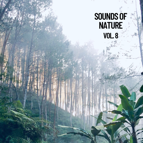 Sounds of Nature Vol. 8, Sounds of Nature Noise - Album by Nature ...
