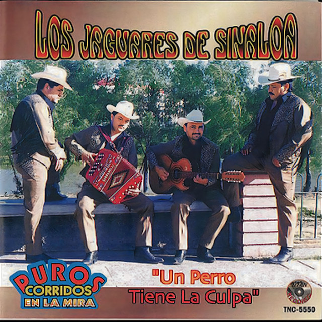Un Perro Tiene La Culpa cover art
