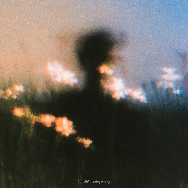 You did nothing wrong artwork