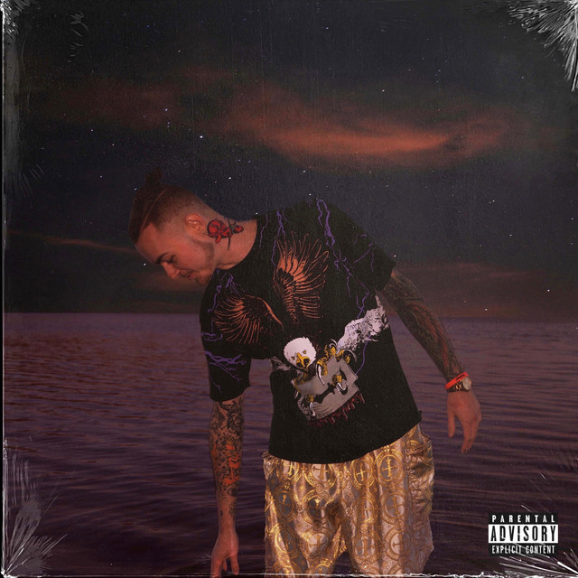 Noahh's ARK (Deluxe) cover art