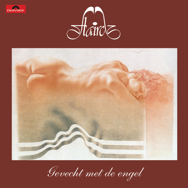 Gevecht Met De Engel cover art