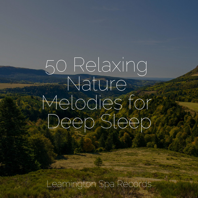 50 Relaxing Nature Melodies for Deep Sleep - Album by Water Sound ...