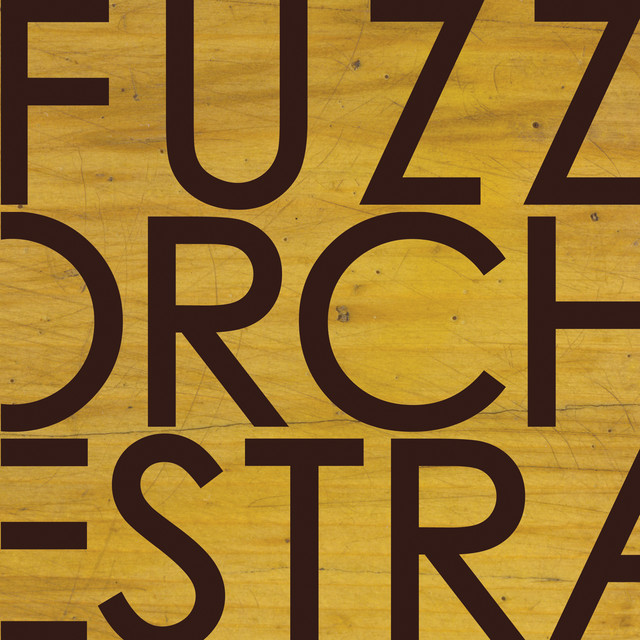 Fuzz Orchestra cover art