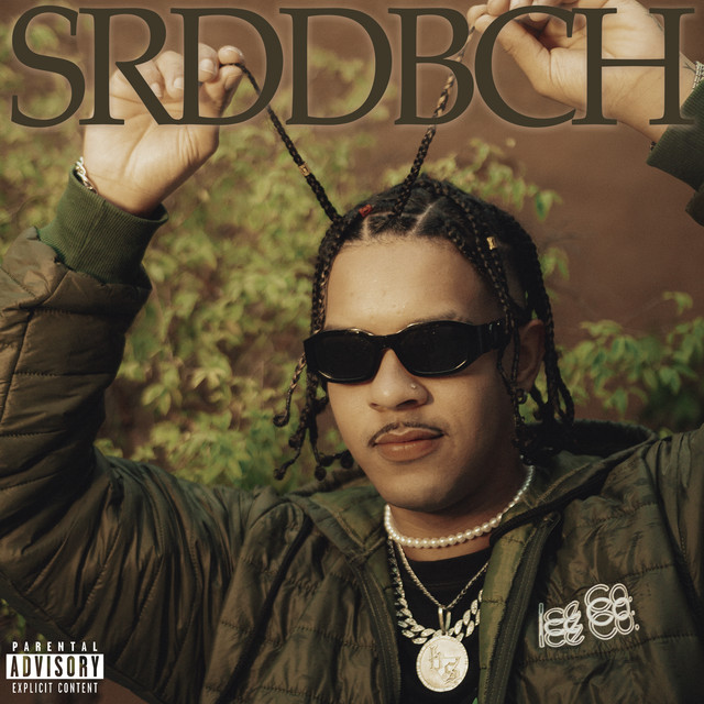 SRDDBCH cover art
